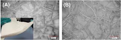 Advantages and challenges of novel materials for future space applications